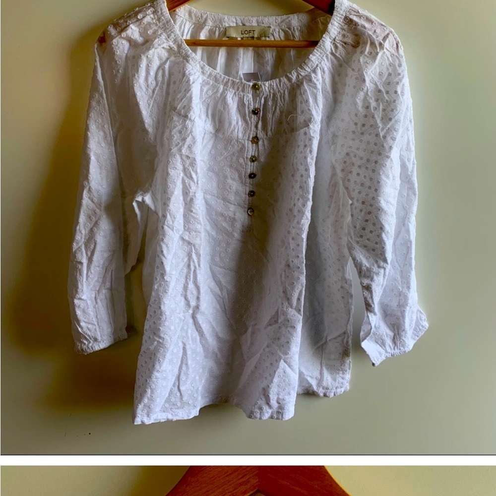 ZARA poplin white dress button down ruffles low neck Size Medium